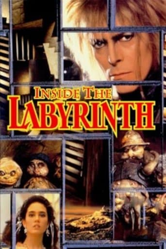 Movie poster for Inside the Labyrinth