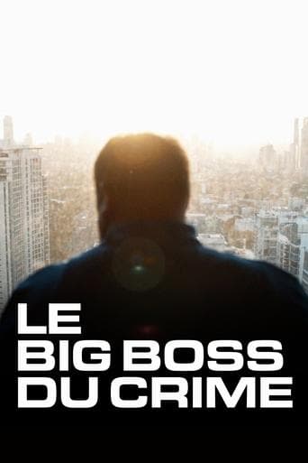 Movie poster for The Big Boss: A 21st Century Criminal