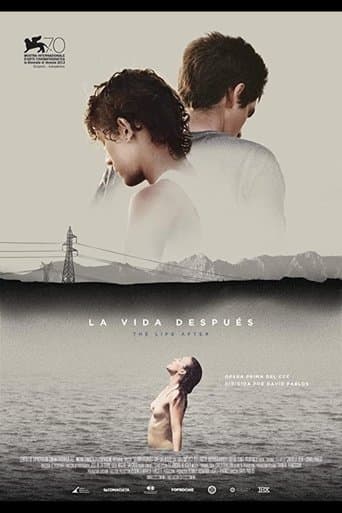Movie poster for The Life After