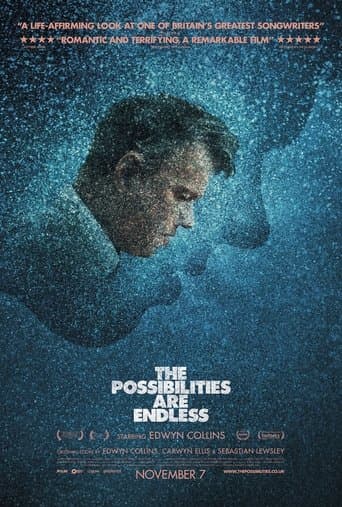 Movie poster for The Possibilities Are Endless