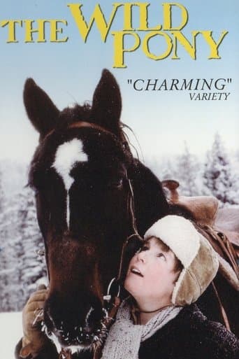 Movie poster for The Wild Pony