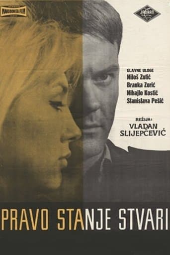 Movie poster for The Real State of Affairs