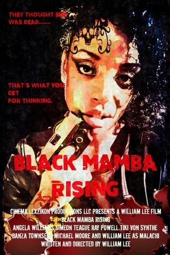 Movie poster for Black Mamba