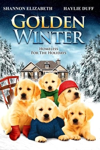 Movie poster for Golden Winter