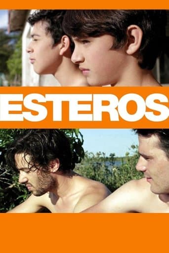 Movie poster for Esteros