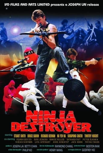 Movie poster for Ninja Destroyer