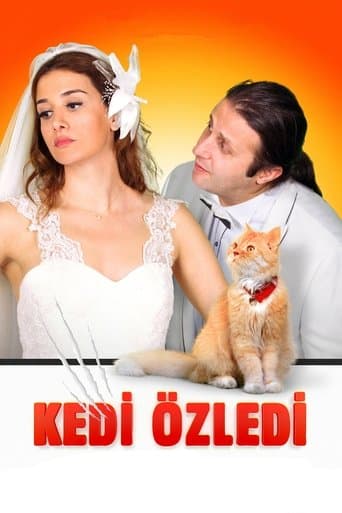 Movie poster for Kedi Özledi