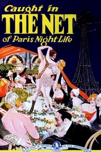 Movie poster for The Net