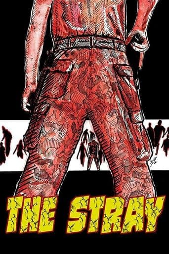 Movie poster for The Stray