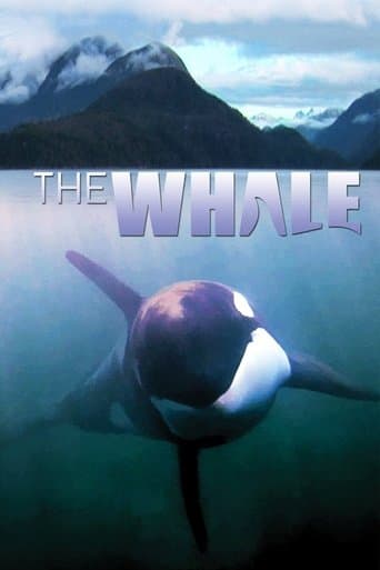 Movie poster for The Whale