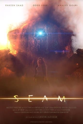 Movie poster for Seam