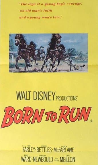 Movie poster for Born to Run