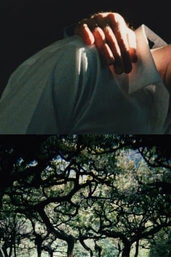 Movie poster for The Hedge Theater