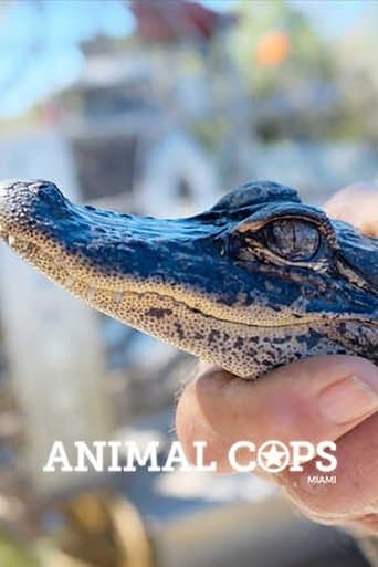 Movie poster for Animal Cops: Miami