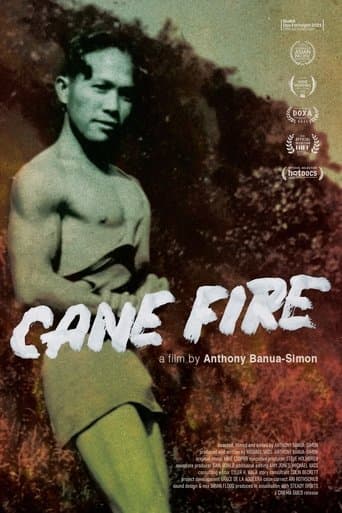 Movie poster for Cane Fire