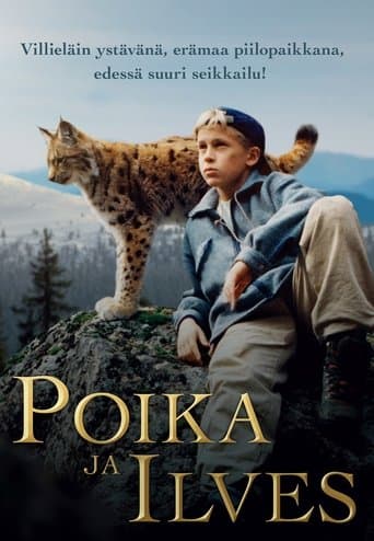 Movie poster for Tommy and the Wildcat