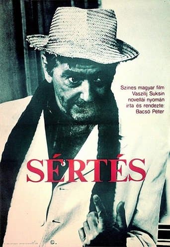 Movie poster for The Insult