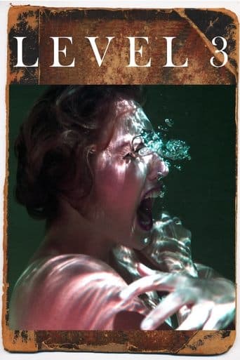 Movie poster for Level 3