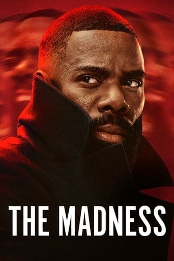 Movie poster for The Madness