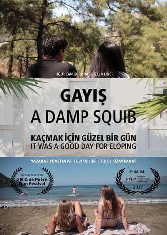 Movie poster for A Damp Squib
