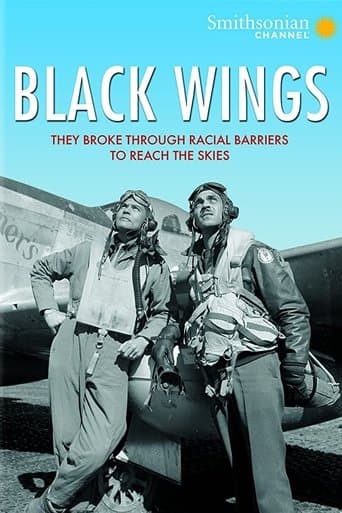 Movie poster for Black Wings