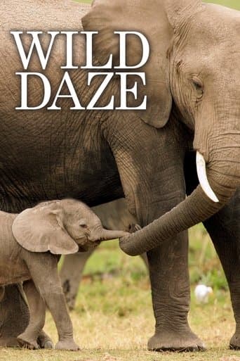 Movie poster for Wild Daze