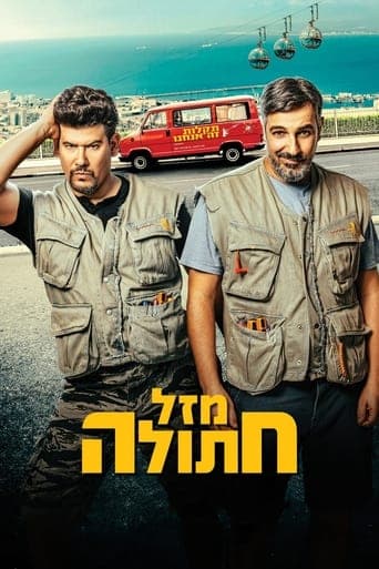 Movie poster for Cat's Luck