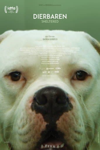 Movie poster for Sheltered