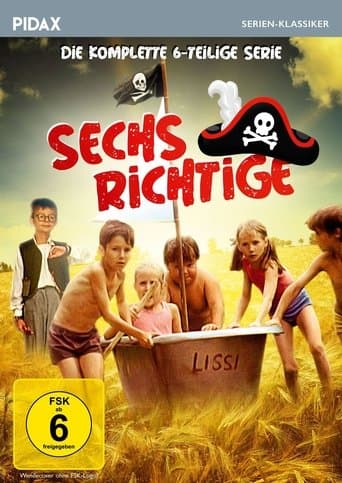 Movie poster for The Correct Six