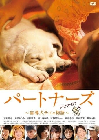 Movie poster for Partners