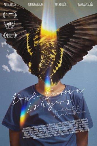 Movie poster for Where Birds Dream