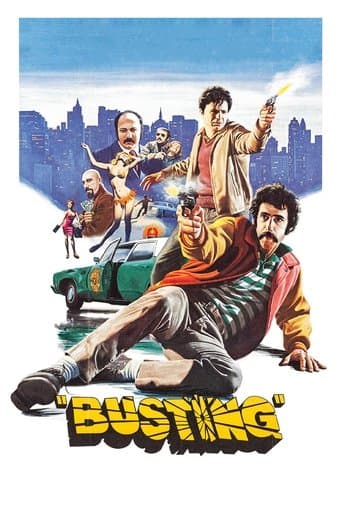 Movie poster for Busting
