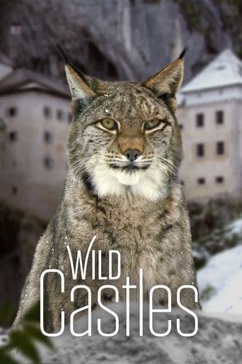 Movie poster for Wild Castles