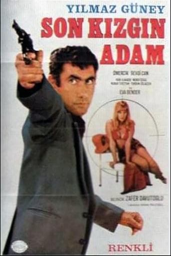 Movie poster for Son Kızgın Adam