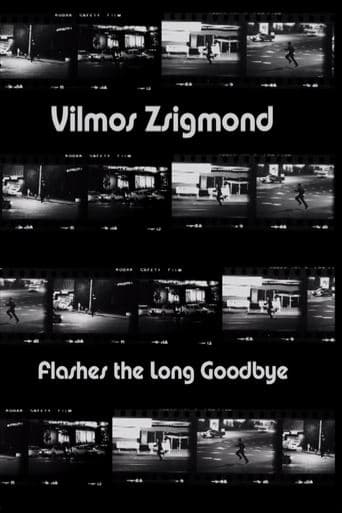 Movie poster for Vilmos Zsigmond Flashes 'The Long Goodbye'