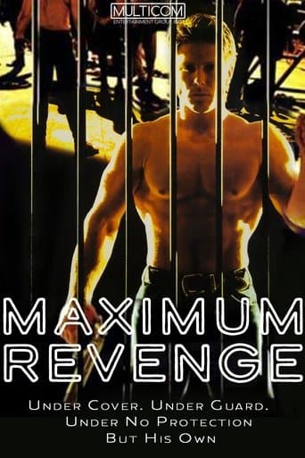 Movie poster for Maximum Security