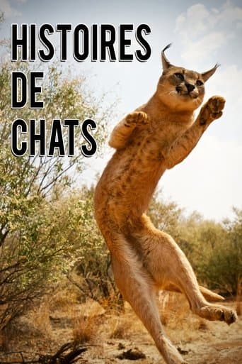 Movie poster for The Story of Cats
