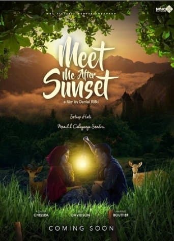 Movie poster for Meet Me After Sunset