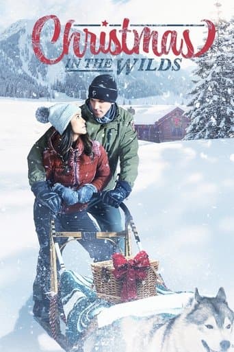 Movie poster for Christmas in the Wilds