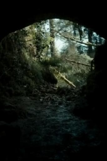 Movie poster for The Beast