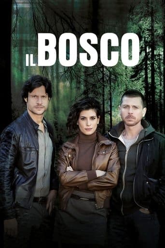 Movie poster for Il Bosco