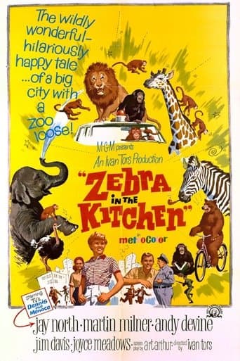 Movie poster for Zebra in the Kitchen