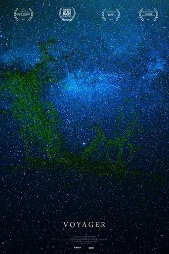 Movie poster for Voyager