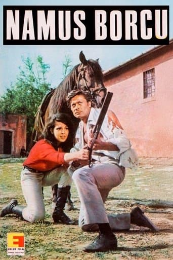 Movie poster for Namus Borcu