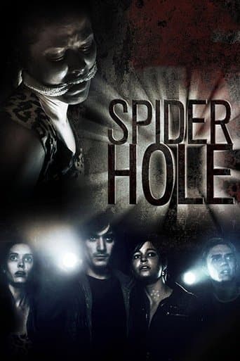 Movie poster for Spiderhole