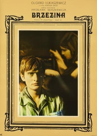 Movie poster for The Birch Wood
