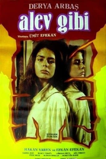Movie poster for Alev Gibi