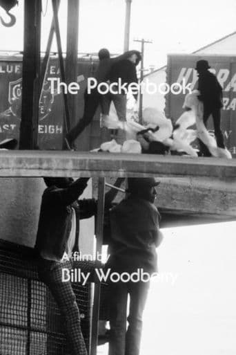 Movie poster for The Pocketbook