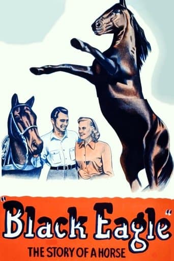 Movie poster for Black Eagle