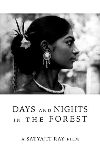 Movie poster for Days and Nights in the Forest